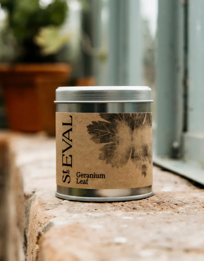 Geranium Leaf Scented Tin Candle