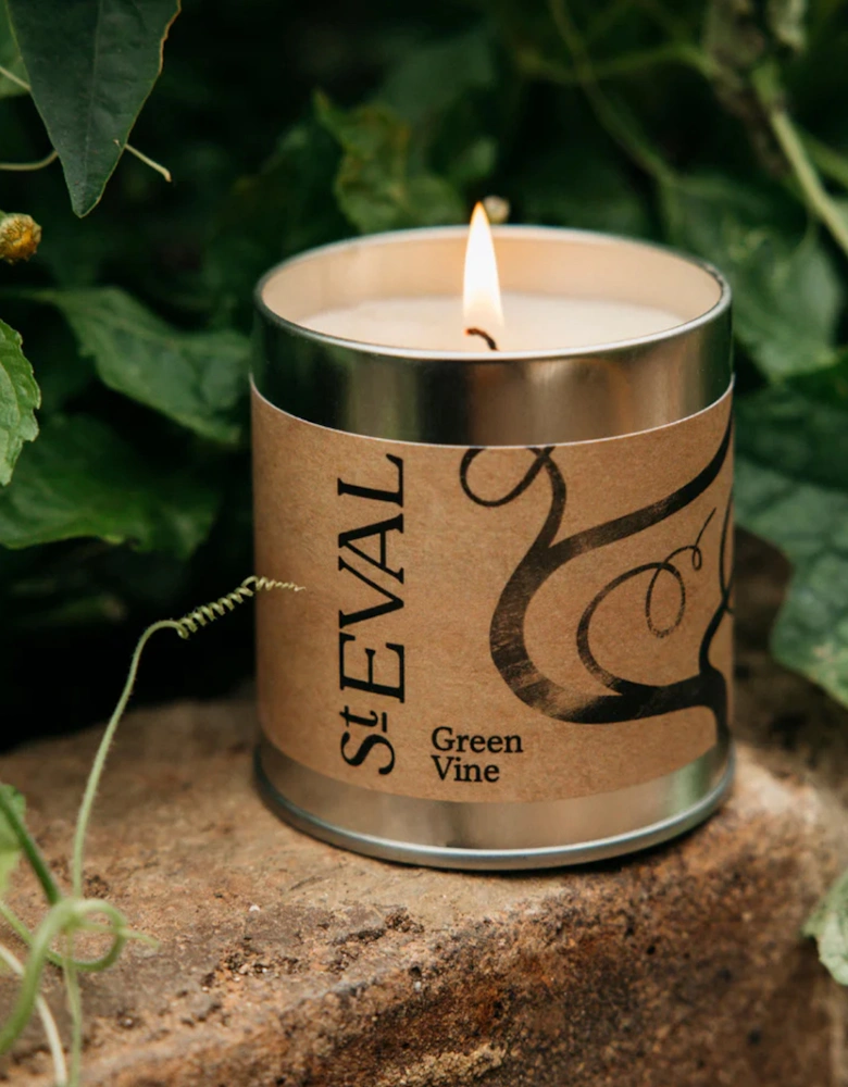 Green Vine Scented Tin Candle