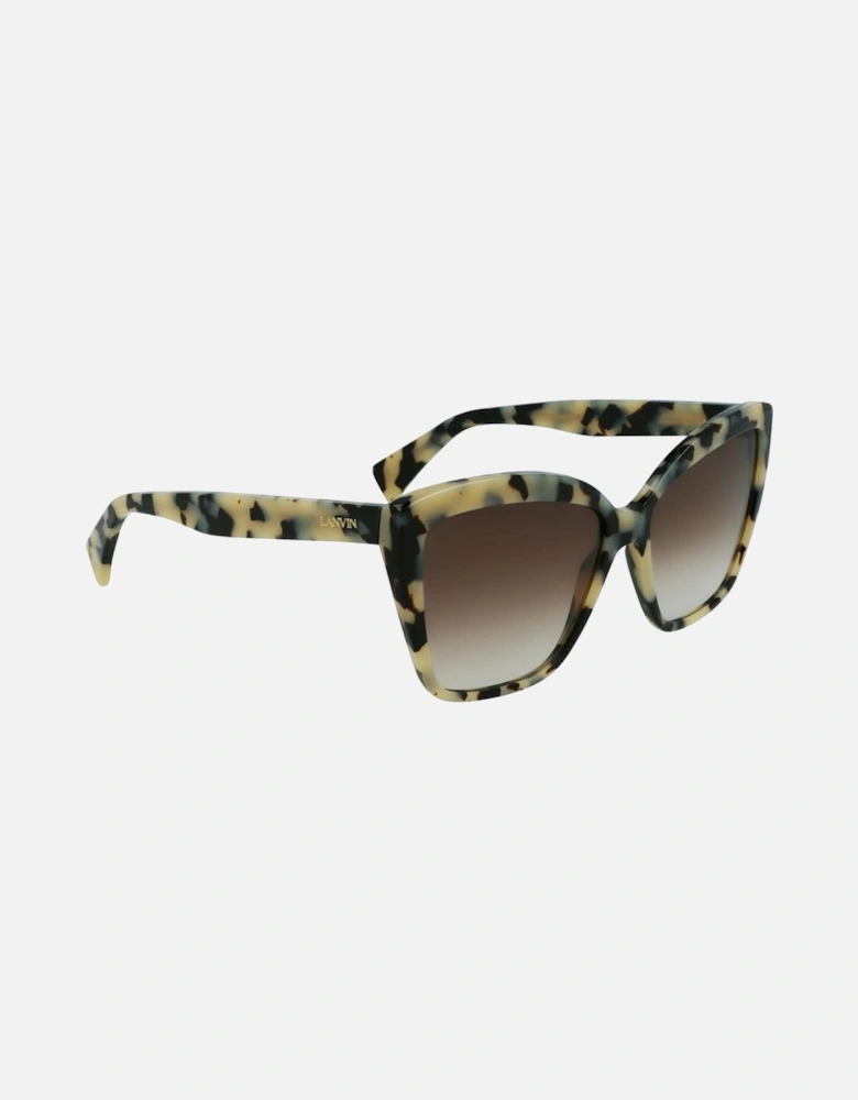 Acetate Sunglasses with Brown Lenses Women - Gray