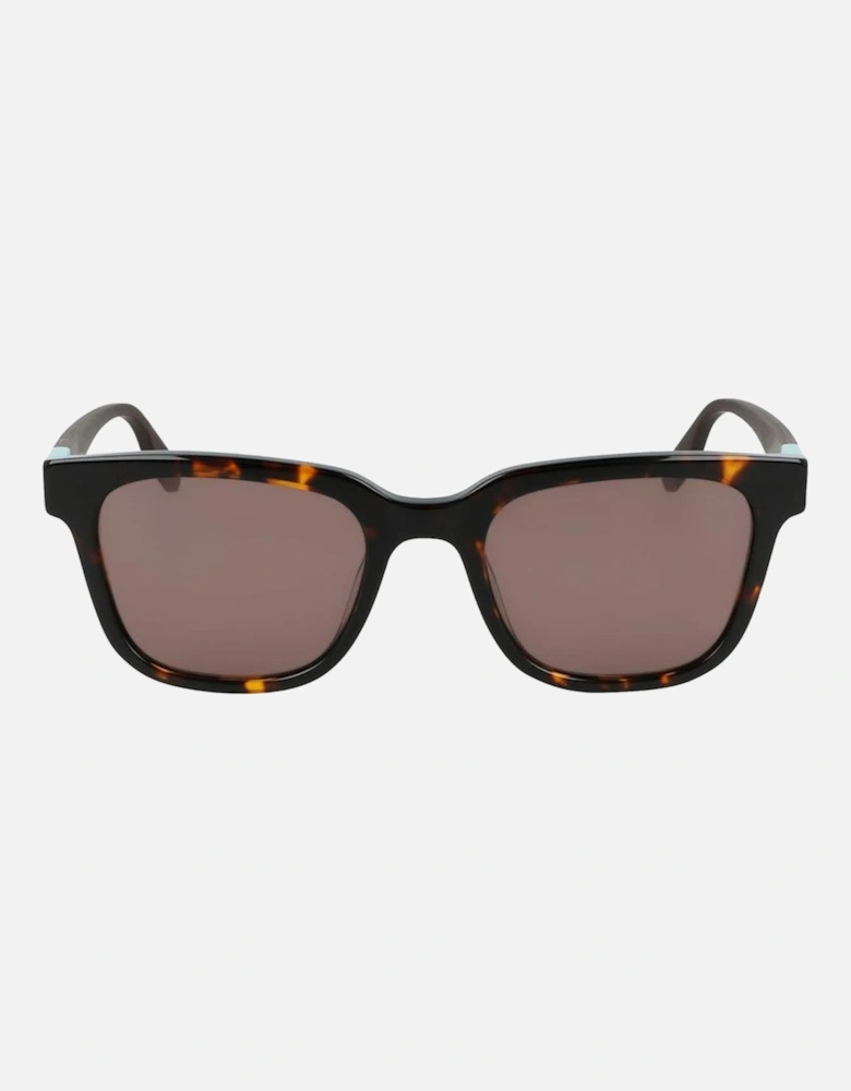 Acetate UV Filter Sunglasses Women - Brown
