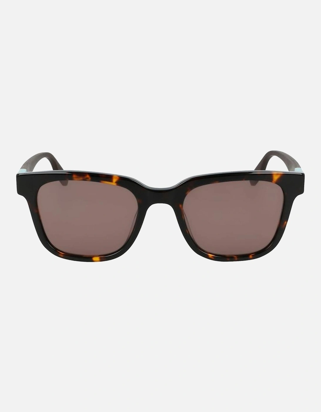Acetate UV Filter Sunglasses Women - Brown, 4 of 3