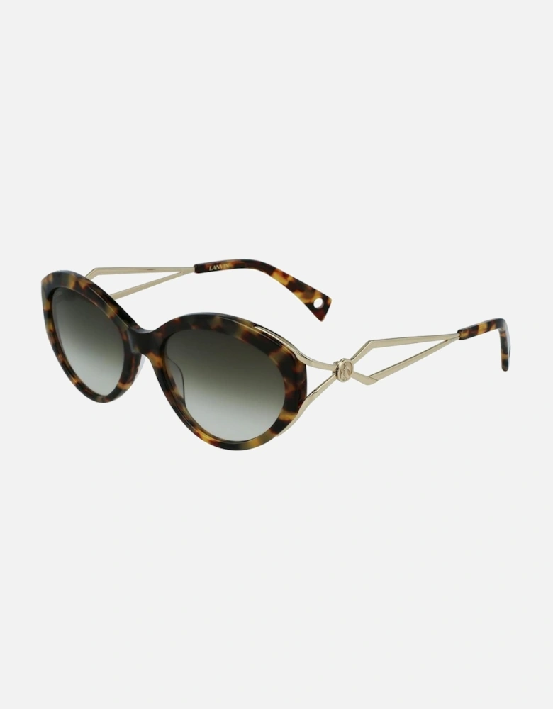 Acetate Cat-Eye Sunglasses Women - Brown