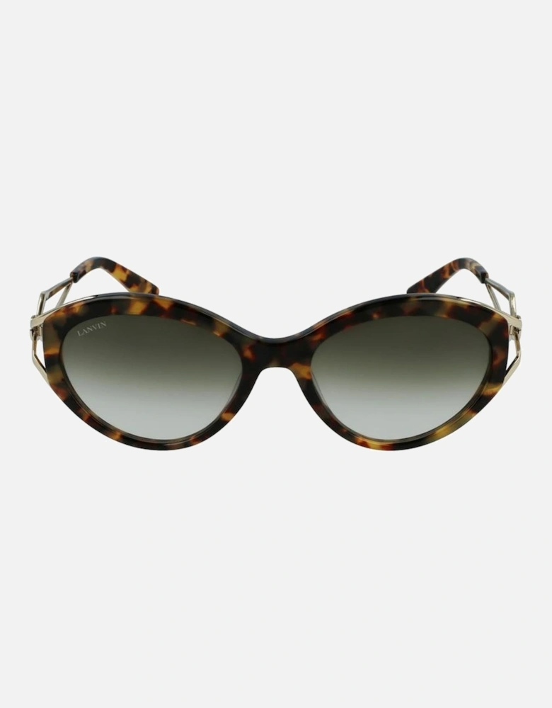 Acetate Cat-Eye Sunglasses Women - Brown