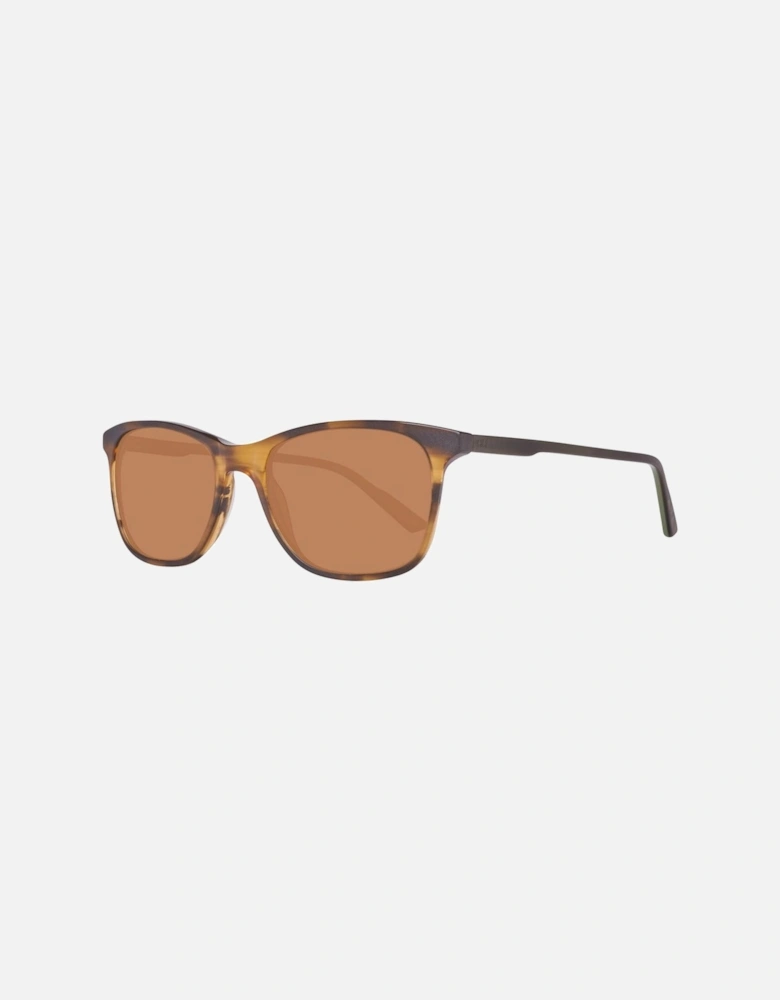 Plastic Sunglasses HH5007-C02 Women - Brown