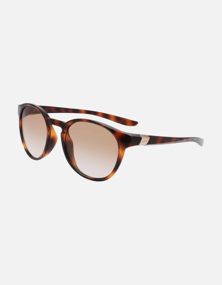 Injected Material Sunglasses Women - Brown