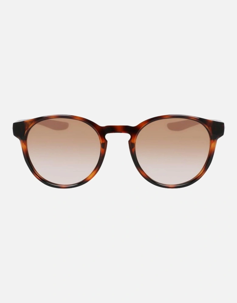 Injected Material Sunglasses Women - Brown