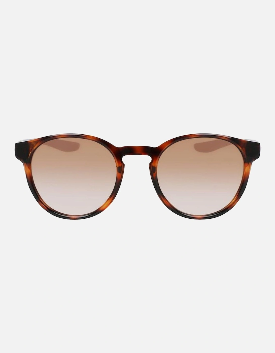 Injected Material Sunglasses Women - Brown