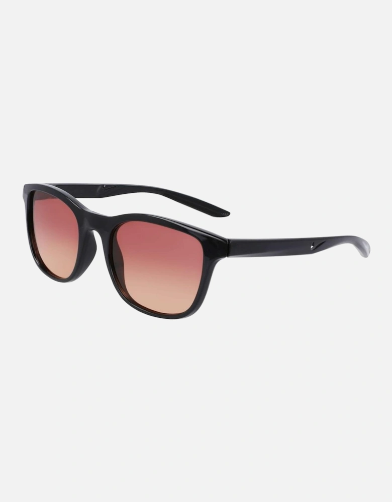 Injected Black Sunglasses Women