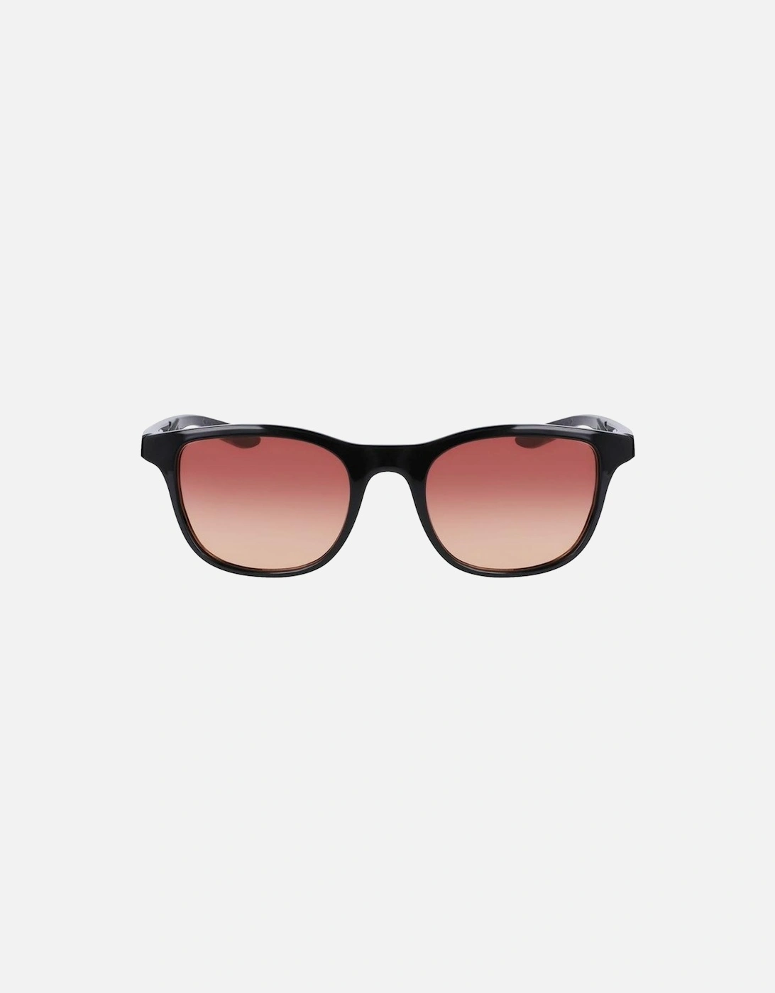 Injected Black Sunglasses Women