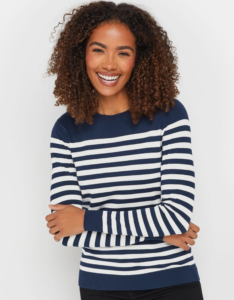 Striped Crew Neck Jumper - Blue