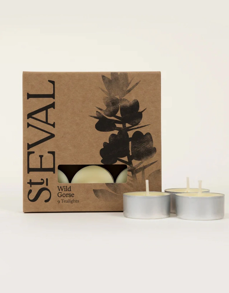 St Eval Scented Tealights Wild Gorse