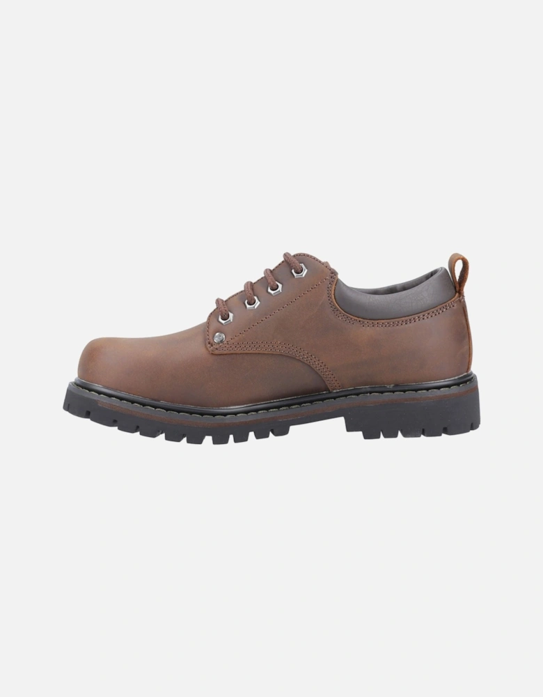 model Tom Cats Shoe Male in Dark Brown