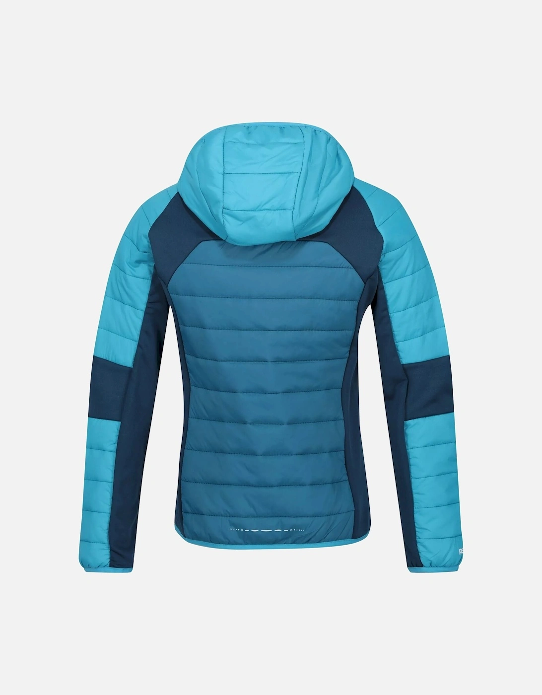 Womens/Ladies Trutton Lightweight Padded Jacket