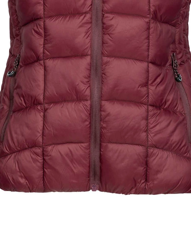 Womens/Ladies Ogbere Gilet