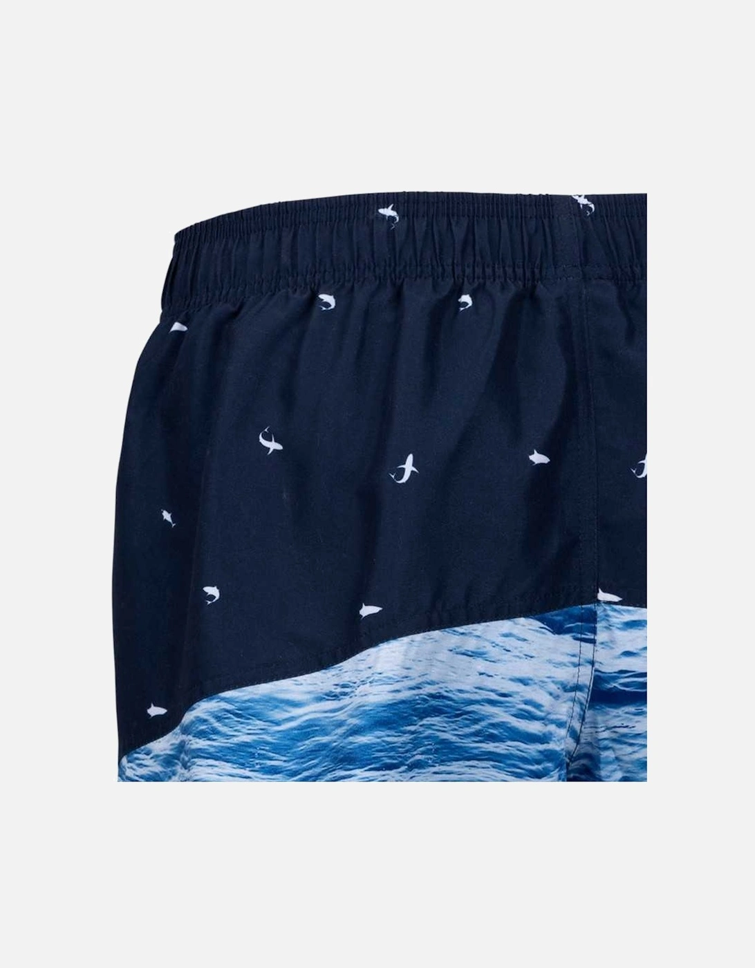 Mens Orman Swim Shorts