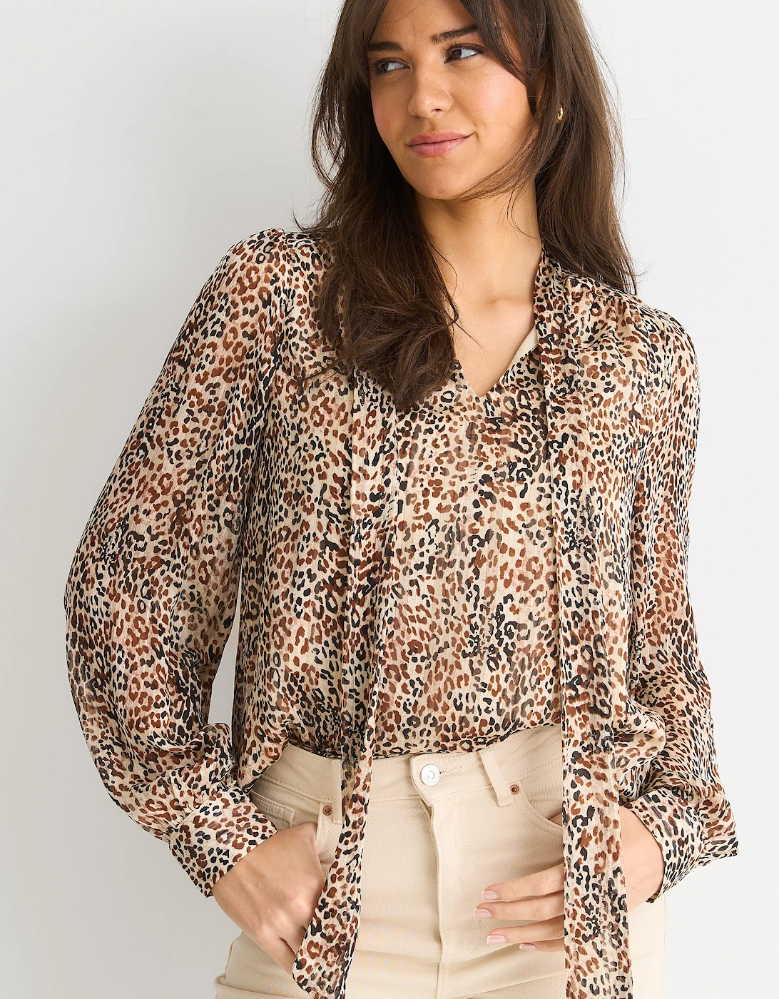 Brown Animal Print Long SLeeves Tie Neck Blouse