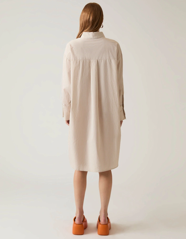 Beige-White Striped Shirt