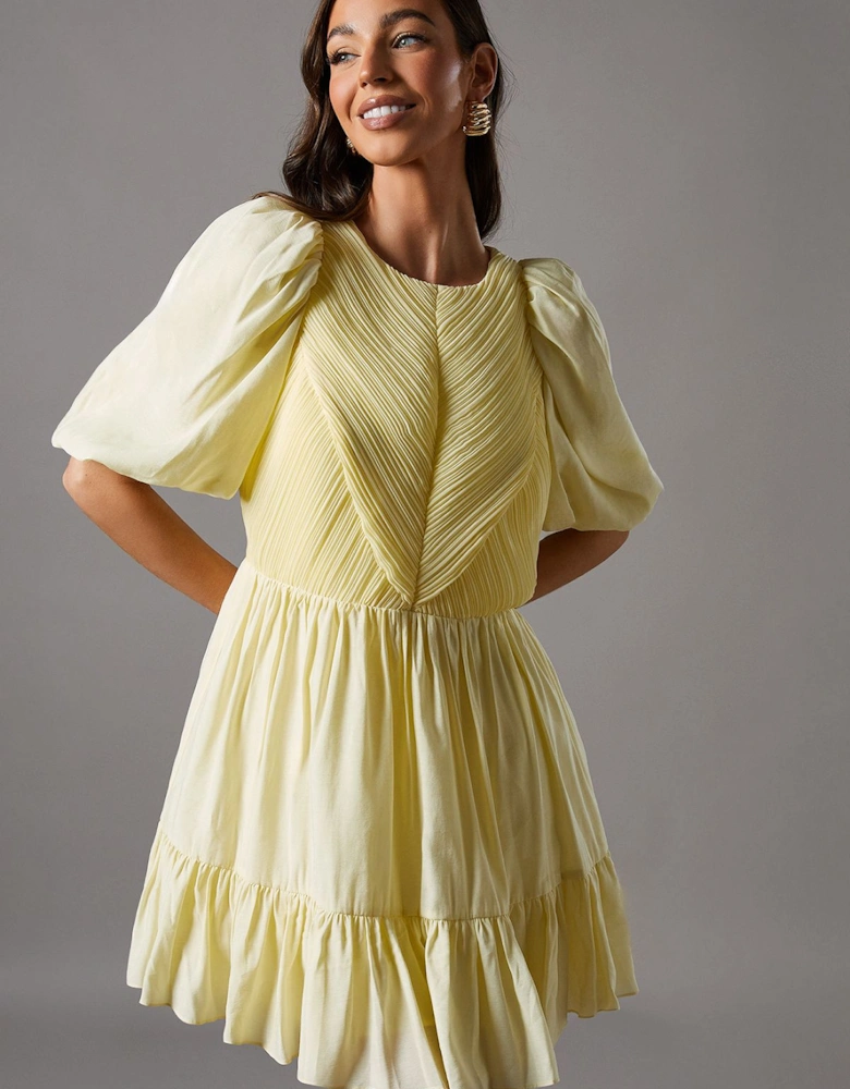 Baby Pleat Organza Mini Dress