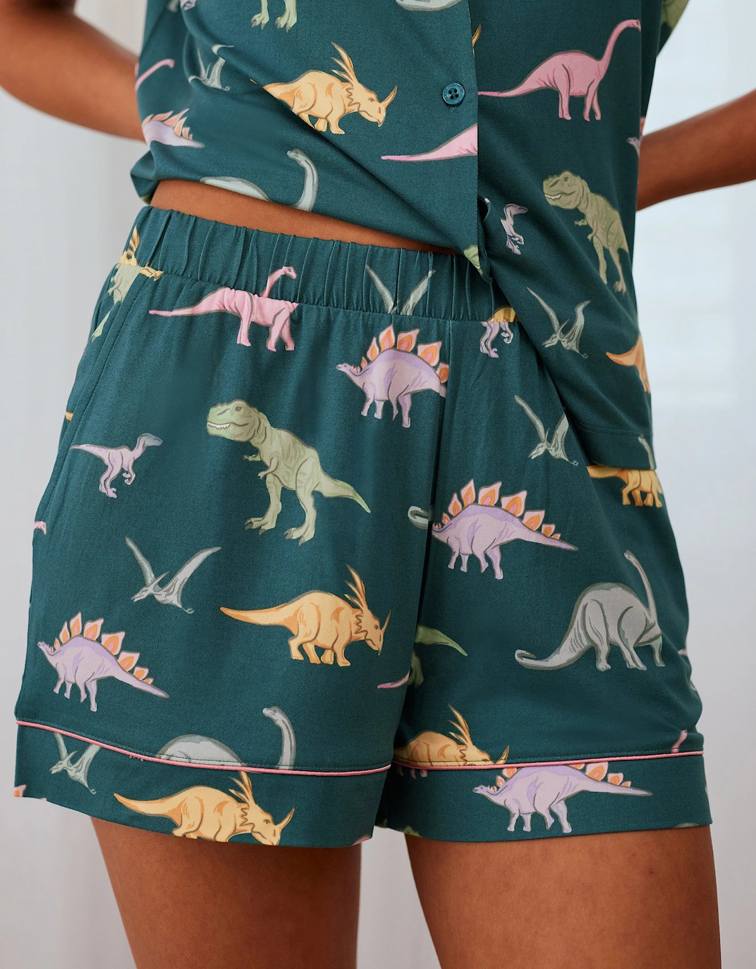 Dinosaur Print Short Pyjama Set