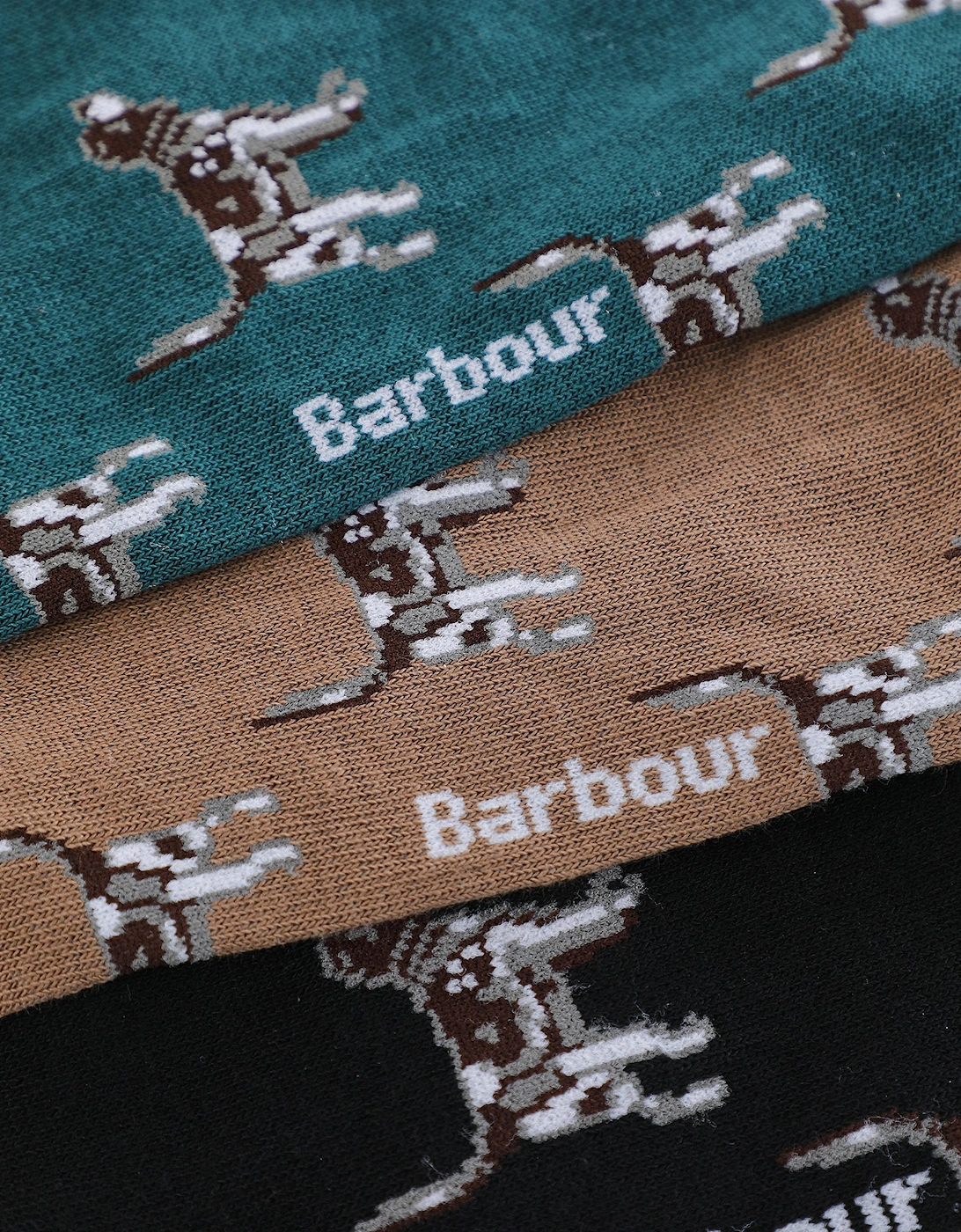 Pointer Dog Socks 3 Pack