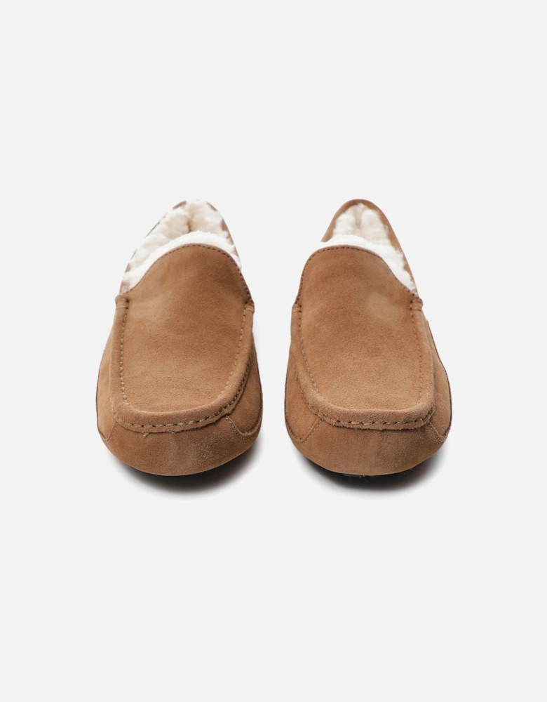 Suede Ascot Slippers