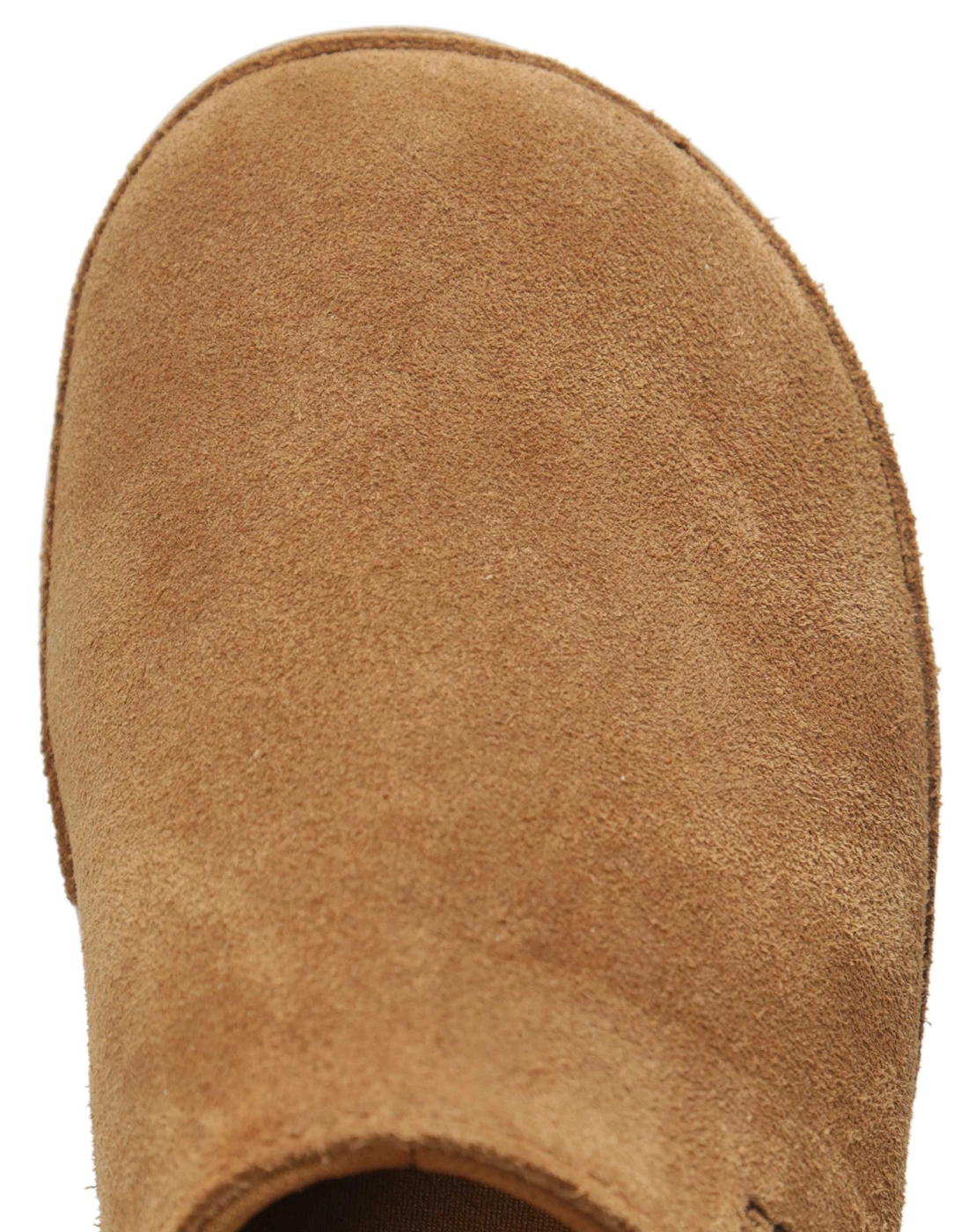 Suede Goldenstar Clogs