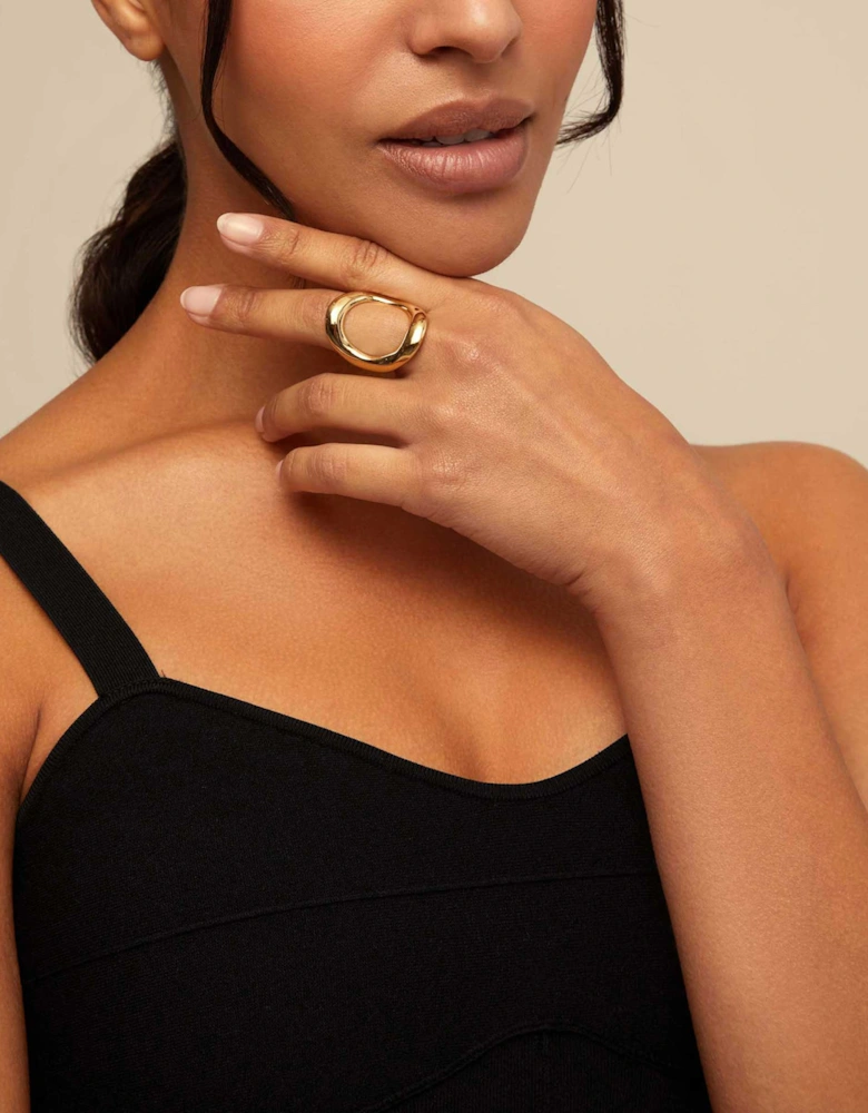 The One Ring