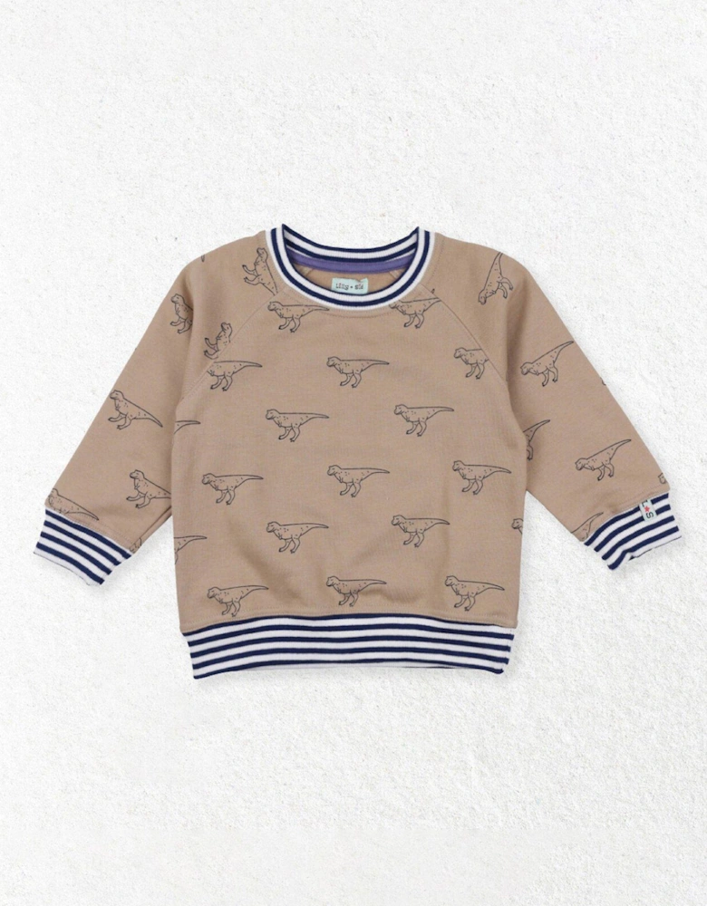 Boys Dino Print Sweatshirt - Neutral