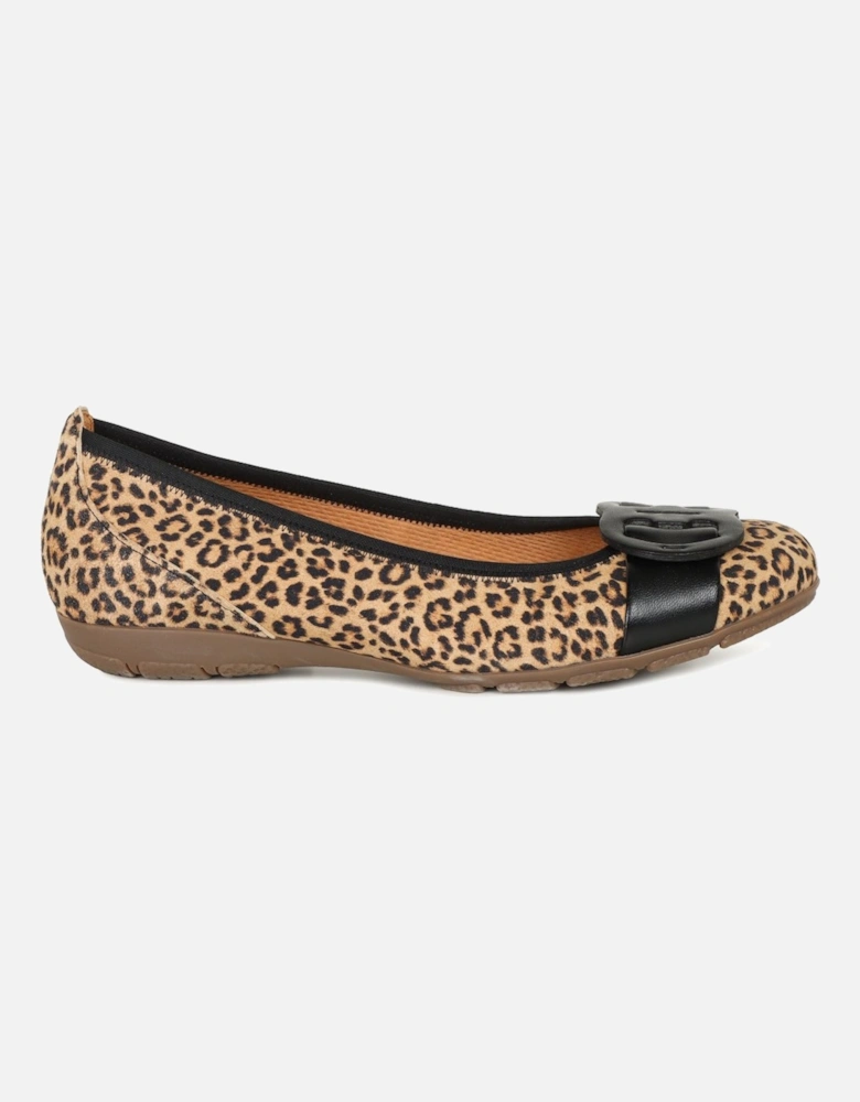 Rosta Womens Ballet Pumps