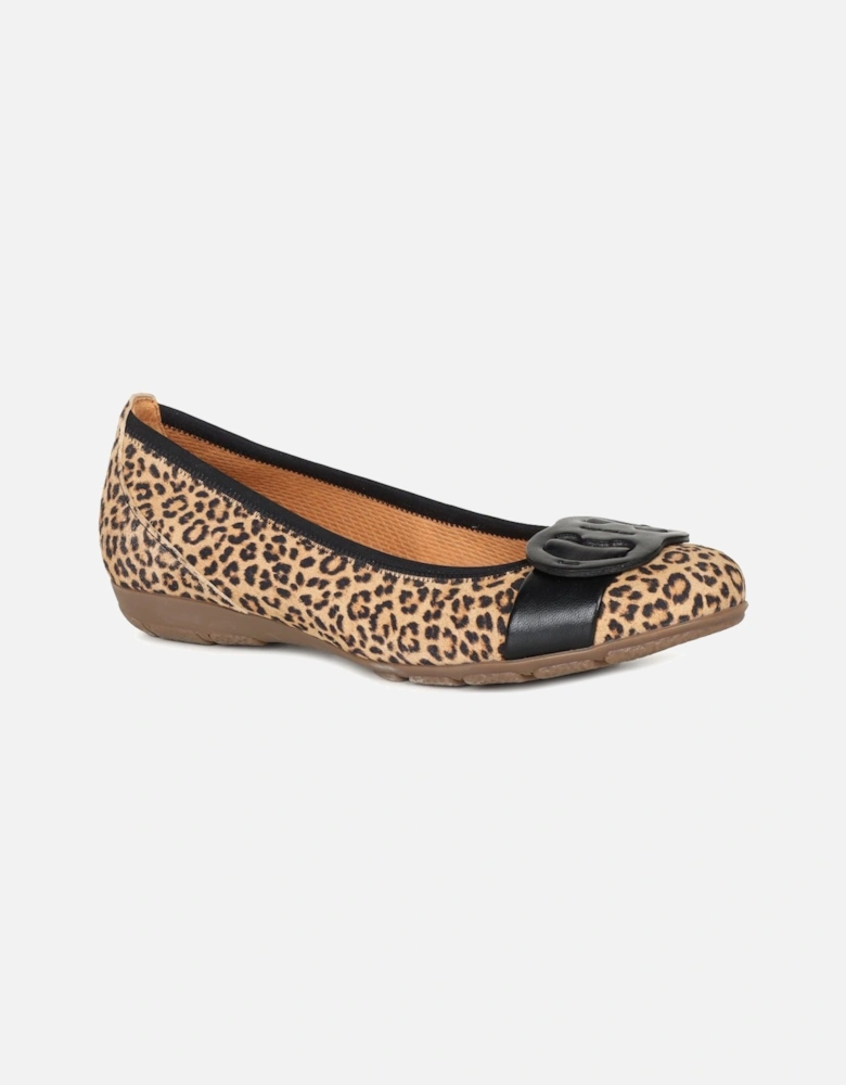 Rosta Womens Ballet Pumps