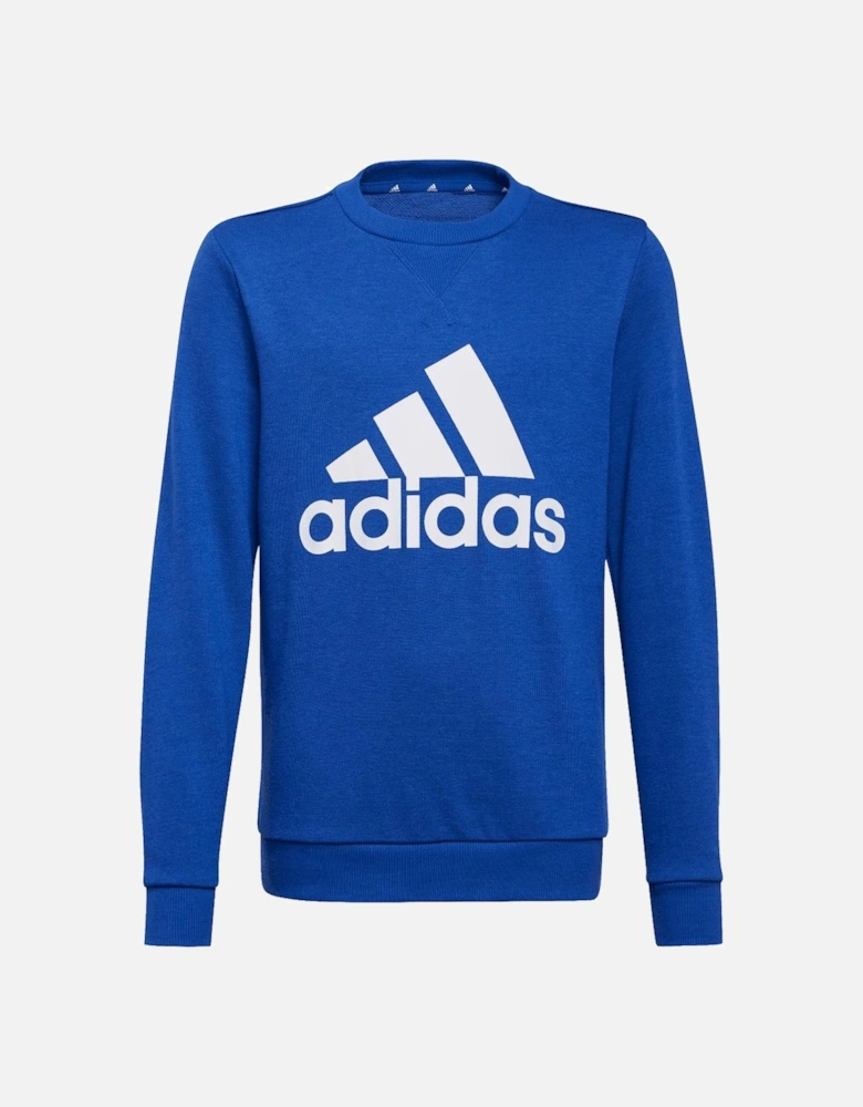 Boys Essentials Sweatshirt