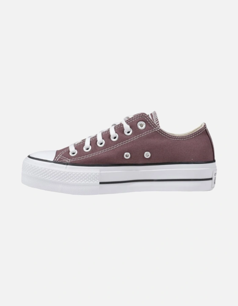 Lace-Up Rubber Sole Sneakers Women - Brown