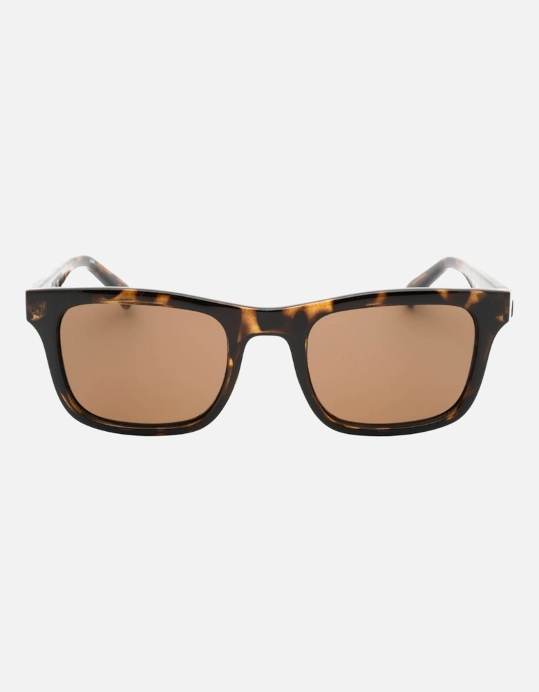 Brown Lens Tortoise Brown Sunglasses