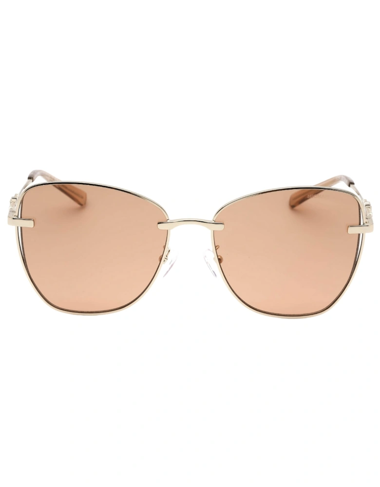 Light Brown Lens Shiny Light Gold Sunglasses