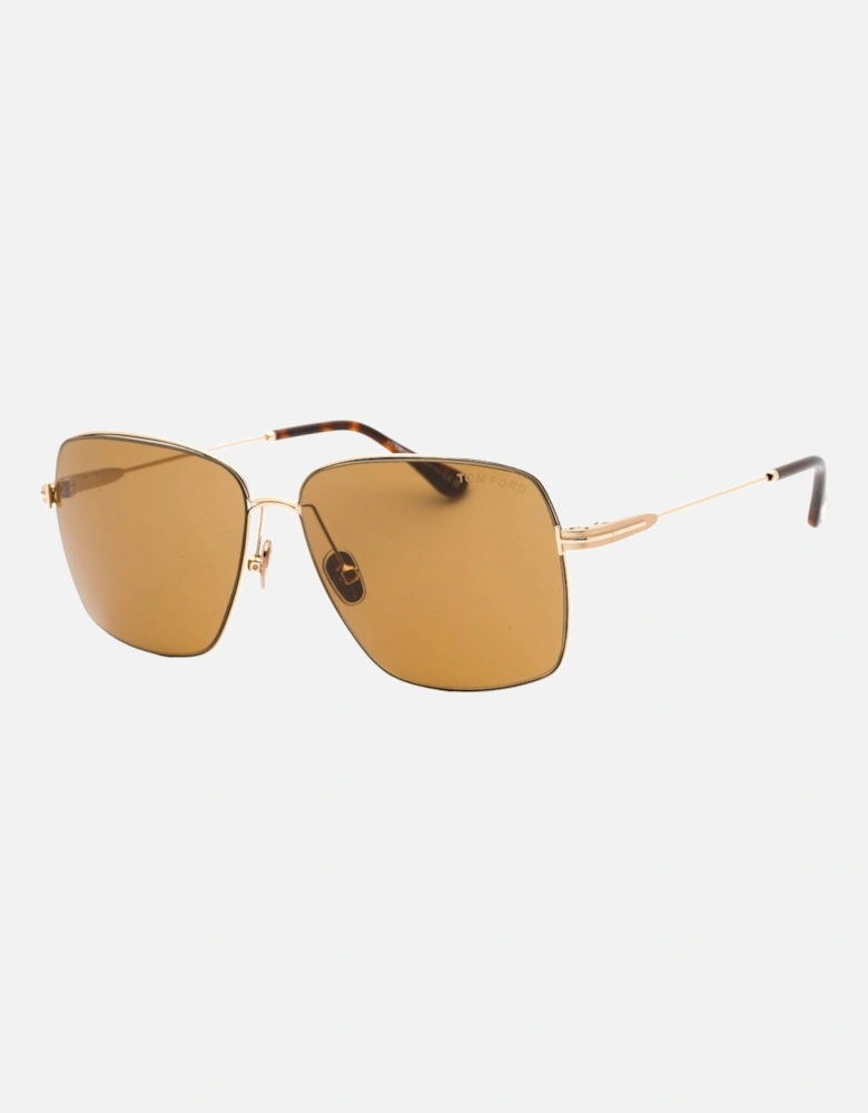 Pierre-02 Brown Lens Gold Sunglasses