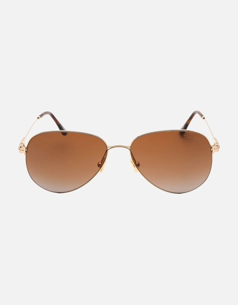 Porscha Dark Brown Lens Gold Sunglasses