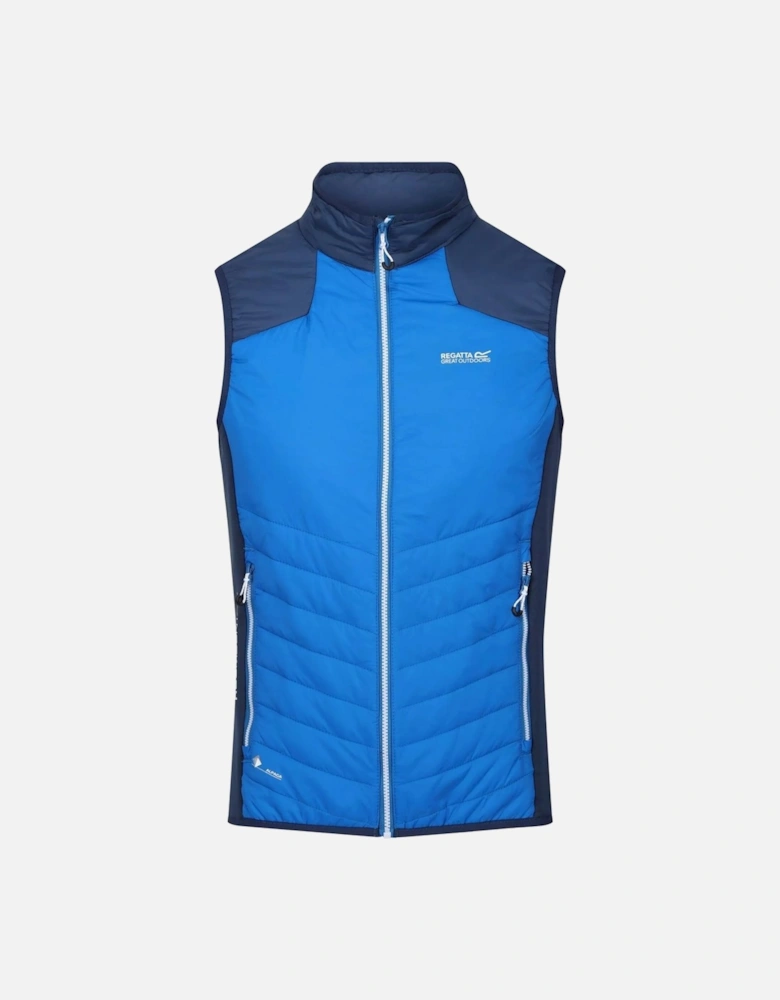 Mens Halton VI Lightweight Body Warmer