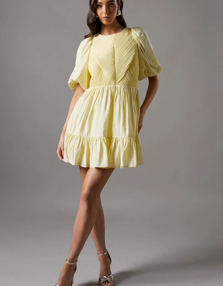 Baby Pleat Organza Mini Dress