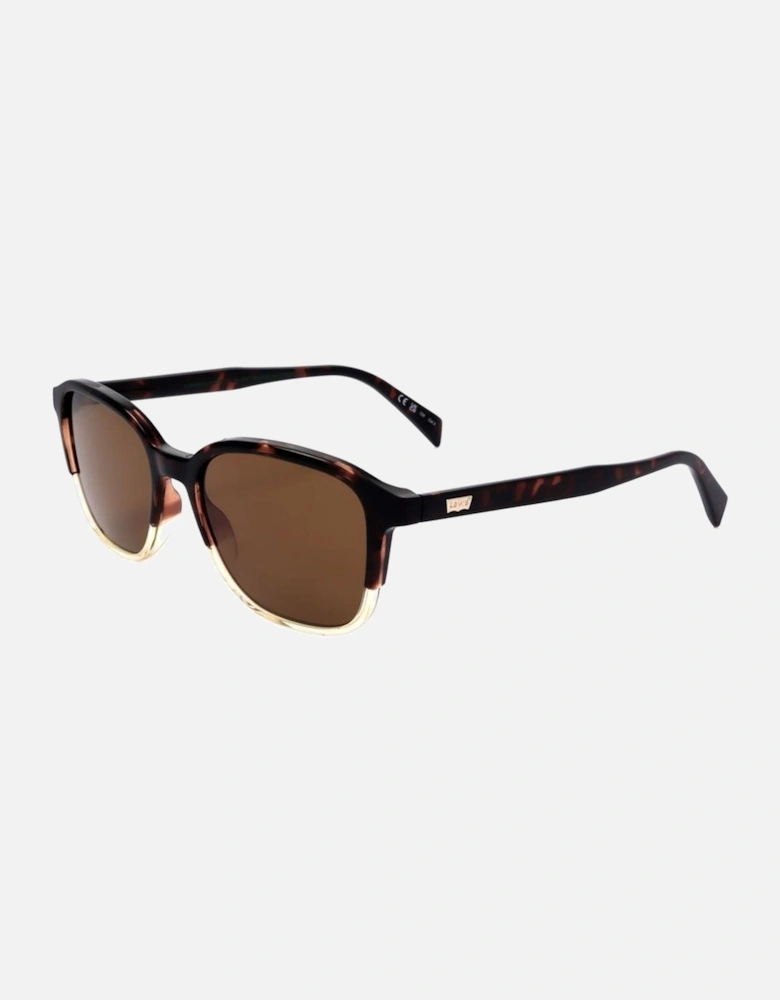 Resin Sunglasses with Brown Category 3 Lens Unisex - Black