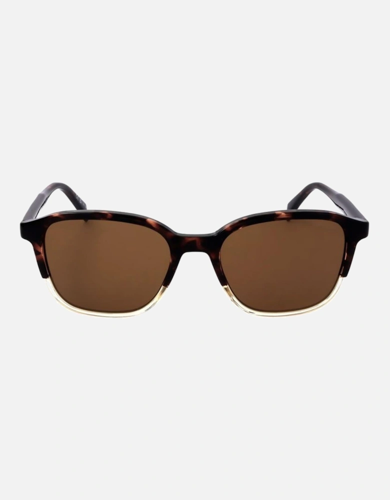 Resin Sunglasses with Brown Category 3 Lens Unisex - Black