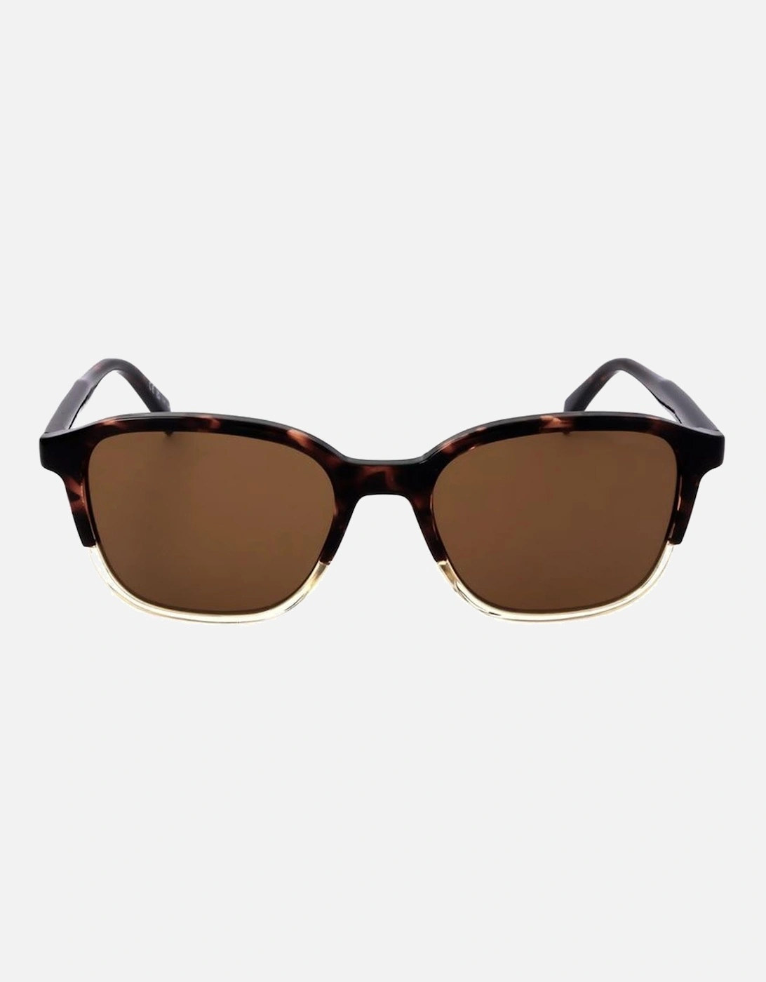 Resin Sunglasses with Brown Category 3 Lens Unisex - Black