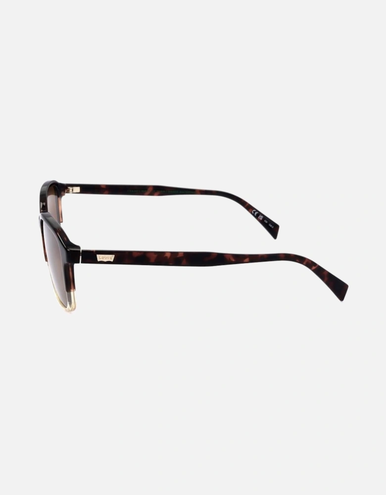 Resin Sunglasses with Brown Category 3 Lens Unisex - Black