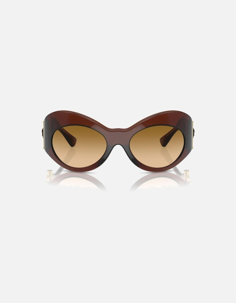 Acetate Square Sunglasses Women - Brown
