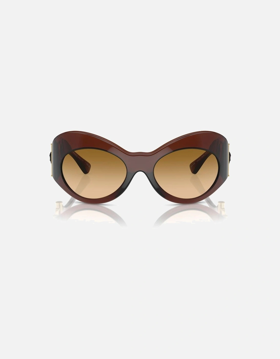 Acetate Square Sunglasses Women - Brown