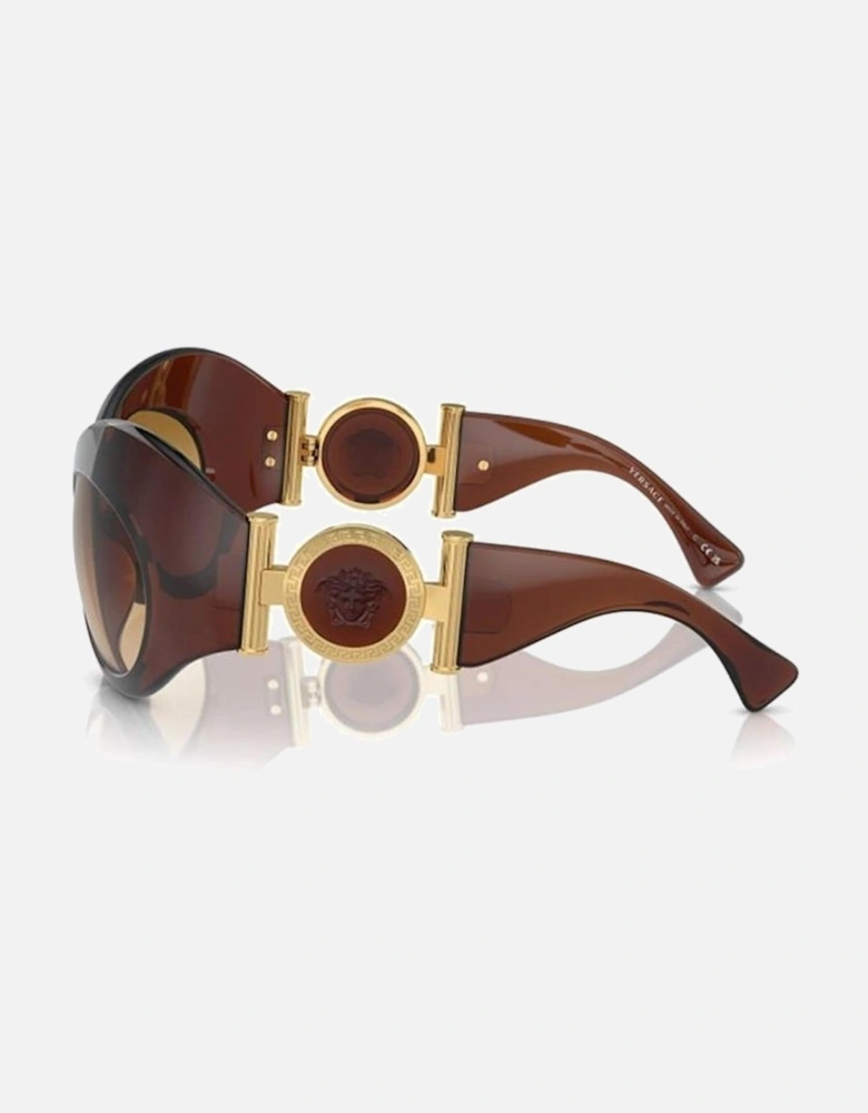 Acetate Square Sunglasses Women - Brown