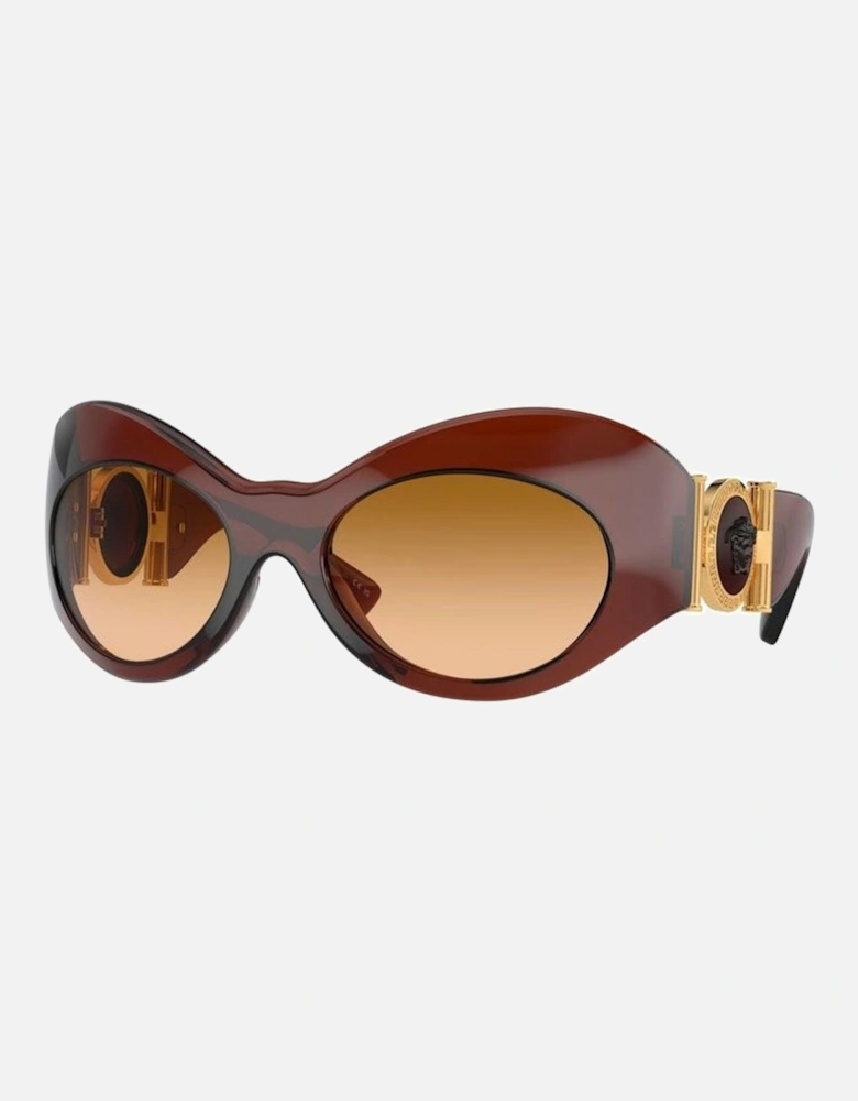 Acetate Square Sunglasses Women - Brown