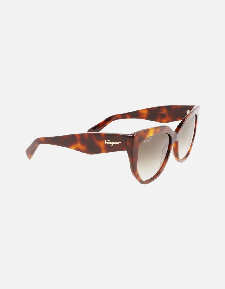 Acetate Sunglasses with Category 2 Lenses Women - Brown