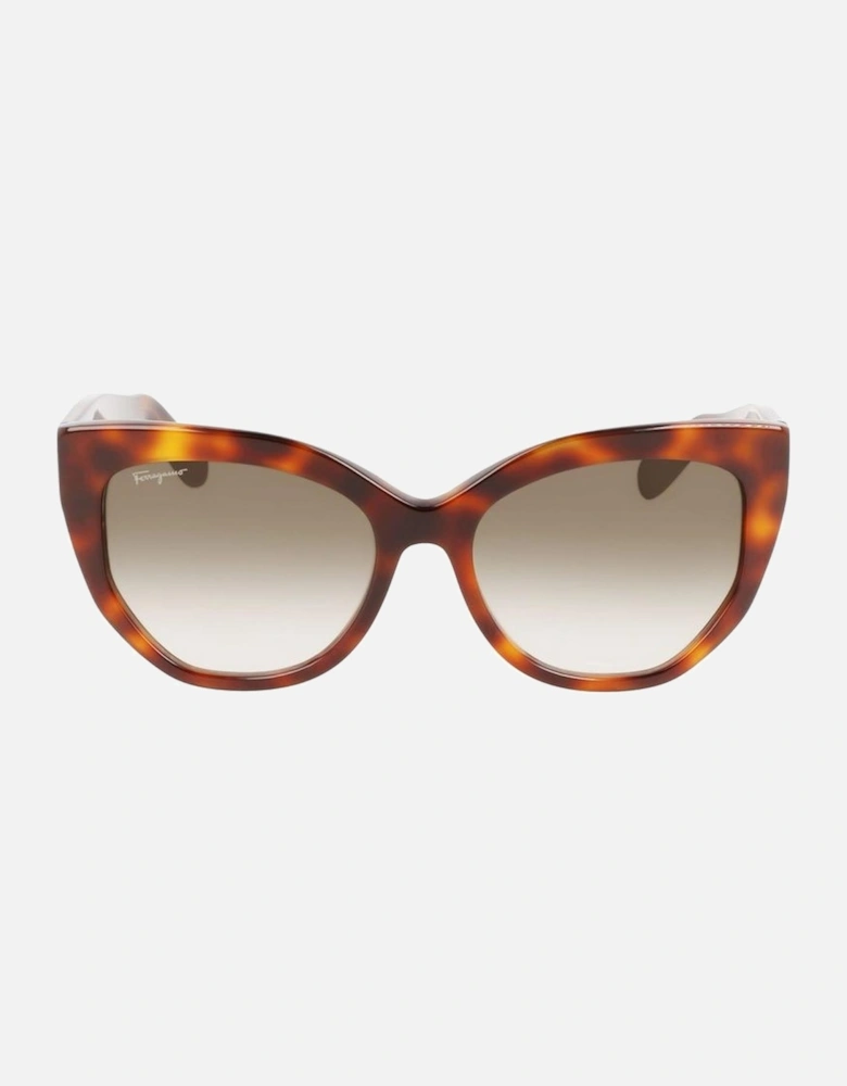 Acetate Sunglasses with Category 2 Lenses Women - Brown