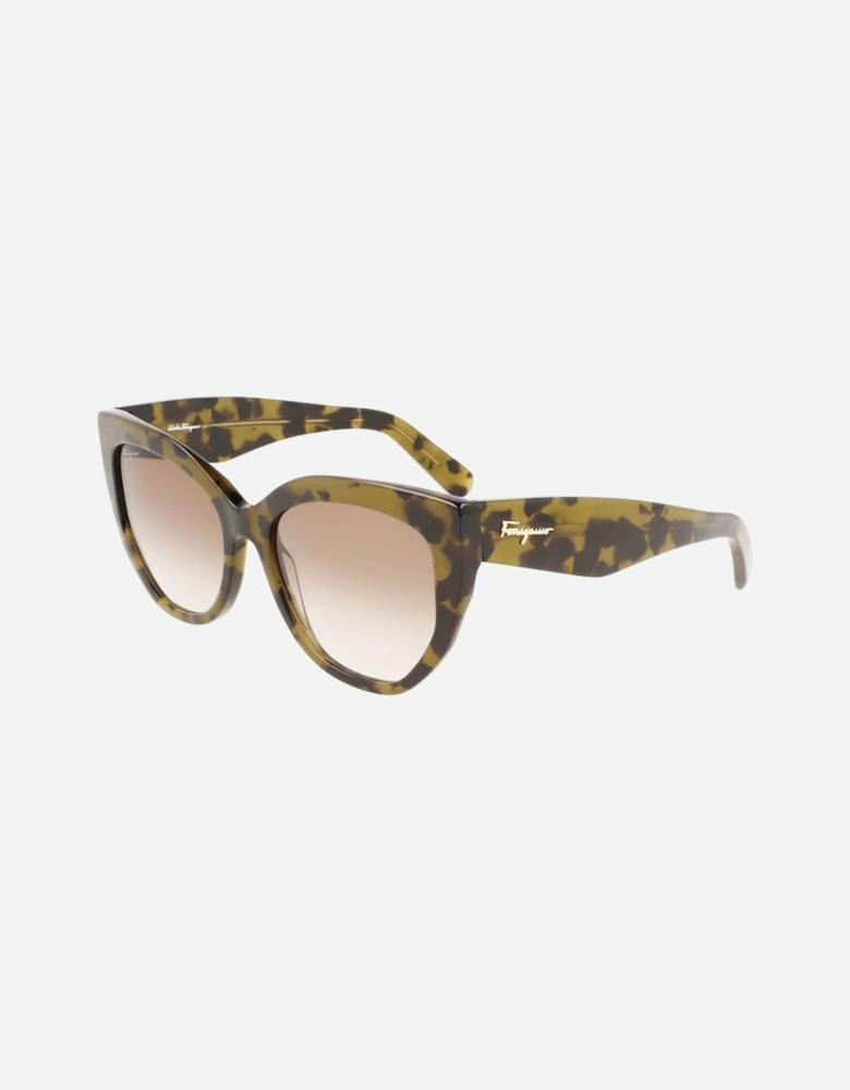 Acetate Sunglasses 56/18/145 mm Women - Brown