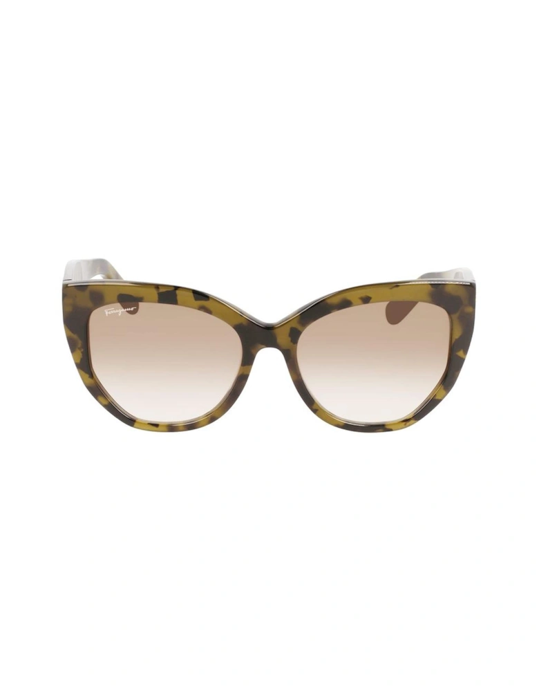 Acetate Sunglasses 56/18/145 mm Women - Brown